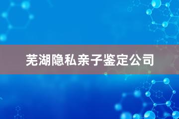 芜湖隐私亲子鉴定公司