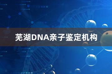 芜湖DNA亲子鉴定机构